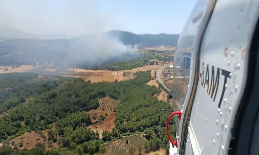 Seydikemer'de orman yangını