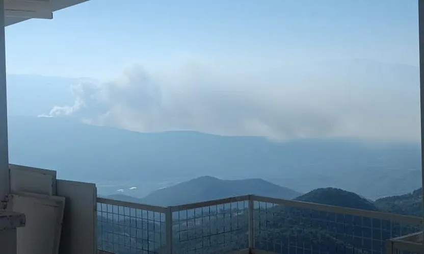 Seydikemer'de orman yangını