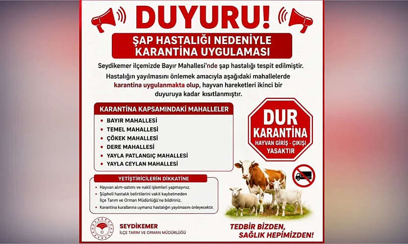 Seydikemer'de şap alarmı: 6 mahalle karantinaya alındı