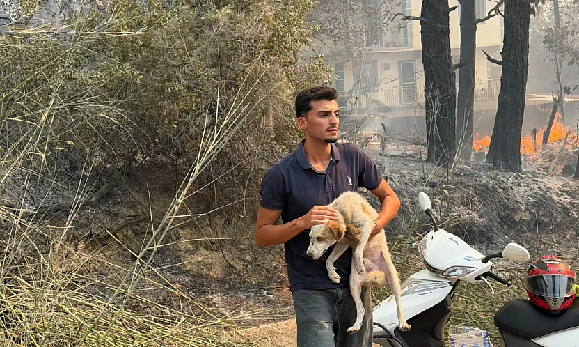Seydikemer'de tahliyeler sürüyor: Dereköy'de evler ve hayvanlar güvenli alanlara taşınıyor