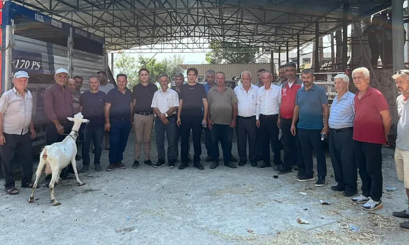 Seydikemer'de yangında hayvanlarını kaybeden çiftçilere küçükbaş hayvan desteği