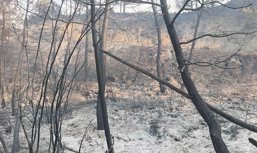 Seydikemer'de Yangının İlerleyişi Büyük Ölçüde Kontrol Altına Alındı