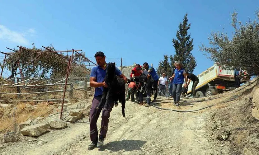 Seydikemer'de yaralar hızla sarılıyor