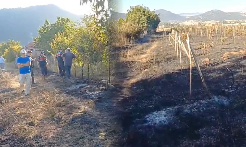 Seydikemer'de zirai alanda yangın: Üzüm bağları ve bahçeler zarar gördü