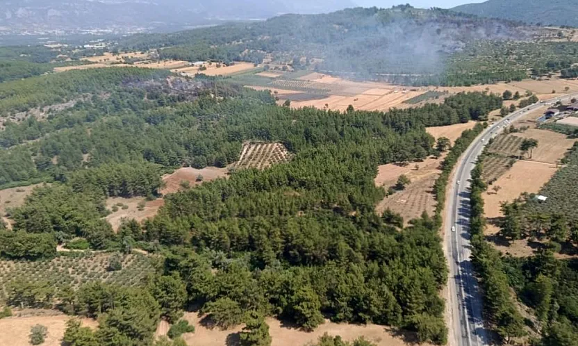 Seydikemer'deki orman yangını kontrol altına alındı