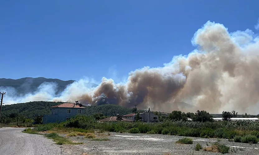 Seydikemer Korubükü Mahallesi'nde Orman Yangını! Havadan ve Karadan Müdahale Başladı
