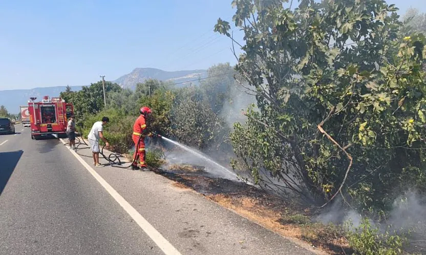 Ula'da yol kenarında başlayan alevler korkuttu