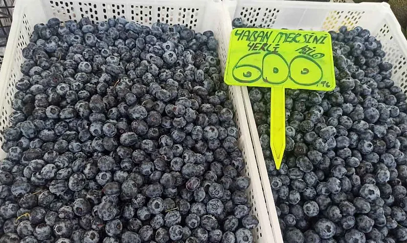 Yaban mersininde sezon sonu etkisi: Fethiye'de kilosu 600 TL