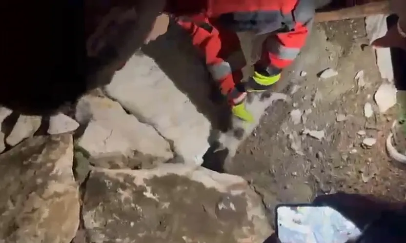 Yatağan'da duvara sıkışan kediyi itfaiye kurtardı