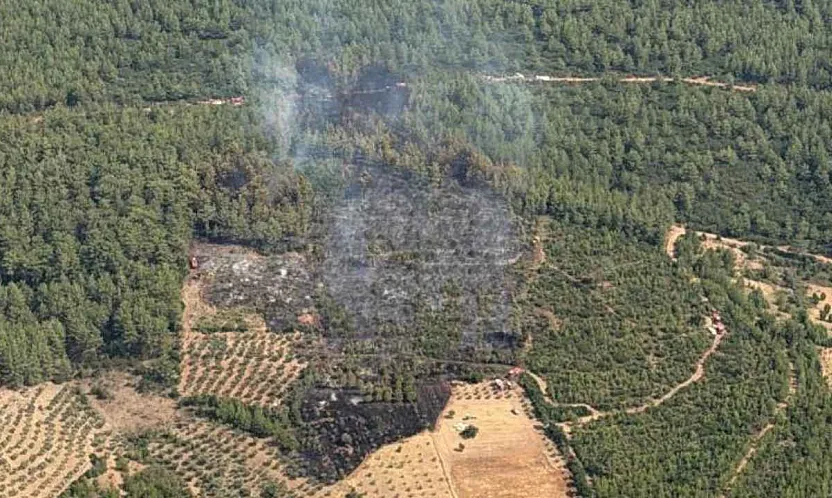 Yatağan'da korkutan zirai yangın kontrol altına alındı